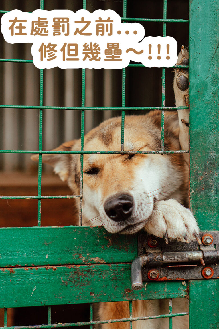 在處罰之前，修但幾壘～！