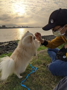 撿到狗該怎麼辦-上-0