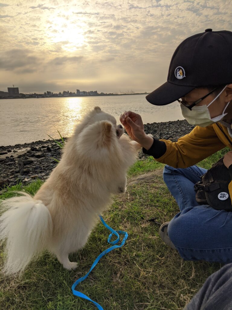 撿到狗該怎麼辦-上-0