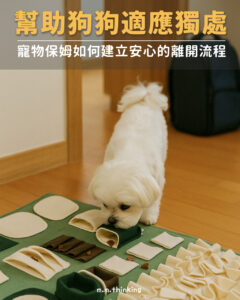 幫助狗狗適應獨處｜寵物保姆如何建立安心的離開流程