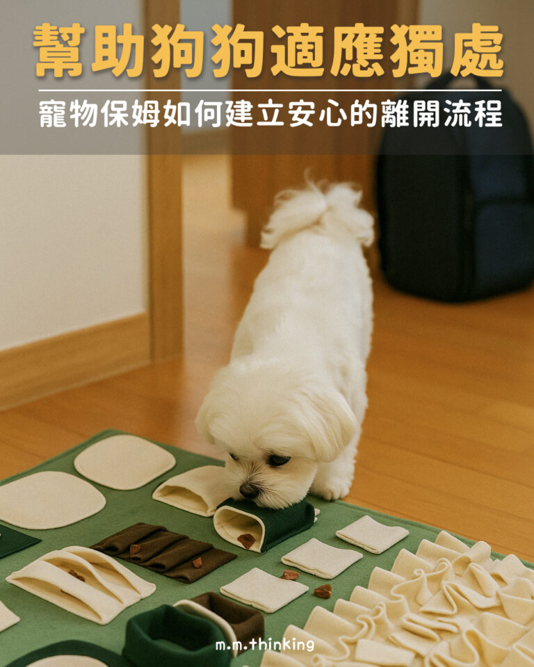 幫助狗狗適應獨處|寵物保姆如何建立安心的離開流程